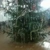 Встреча Нового 2018 года